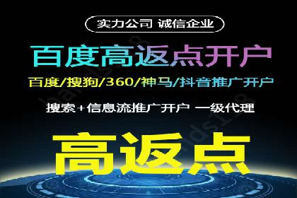 百度竞价排名策略：看这家公司如何逆袭